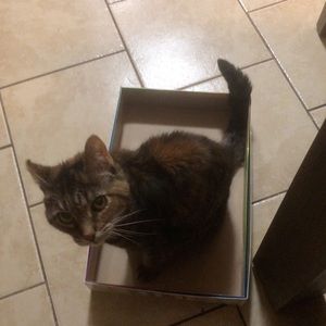 Meet your Posher, Taylor